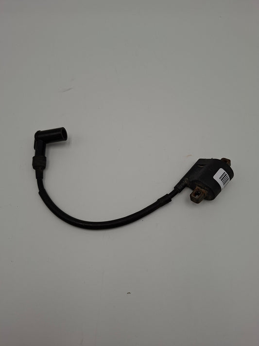 Rivero Phönix Zündspule